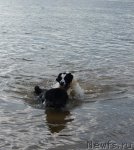 Превью фото № 71066