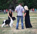 Превью фото № 71083