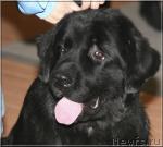 Превью фото № 7112