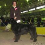 Превью фото № 7123