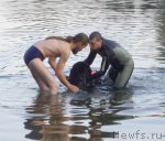 Превью фото № 71249