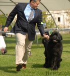 Превью фото № 71300