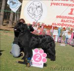 Превью фото № 71396