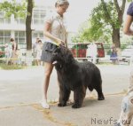 Превью фото № 71619