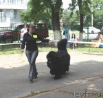 Превью фото № 71620