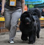 Превью фото № 72670