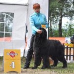 Превью фото № 72678