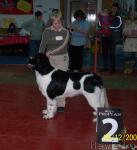 Превью фото № 7272