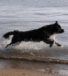 Превью фото № 72760