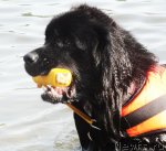 Превью фото № 73199