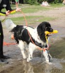 Превью фото № 73202