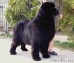 Превью фото № 7322