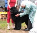 Превью фото № 73297