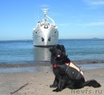 Превью фото № 73358