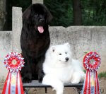 Превью фото № 73410