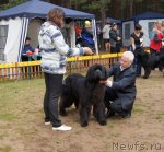 Превью фото № 73419