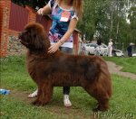 Превью фото № 73468