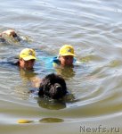 Превью фото № 73661