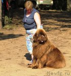 Превью фото № 73712