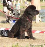 Превью фото № 73750