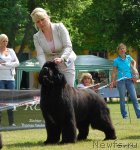 Превью фото № 73778