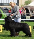 Превью фото № 73781