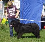 Превью фото № 73808