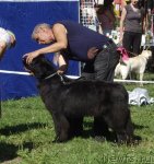 Превью фото № 73809