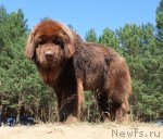 Превью фото № 73867