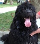 Превью фото № 74491