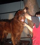 Превью фото № 74543