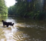 Превью фото № 75034