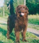 Превью фото № 7507