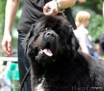 Превью фото № 75220