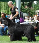 Превью фото № 75222