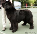 Превью фото № 75238