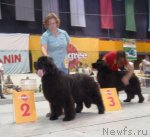 Превью фото № 75241