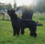 Превью фото № 75394