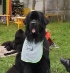 Превью фото № 75398