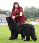 Превью фото № 75452