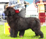 Превью фото № 75478