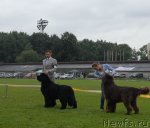 Превью фото № 75493