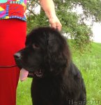 Превью фото № 75631