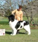 Превью фото № 7583