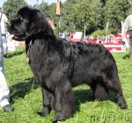 Превью фото № 75925