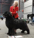 Превью фото № 76558