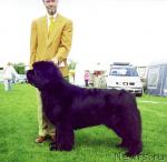 Превью фото № 7659