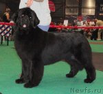 Превью фото № 76590