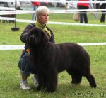 Превью фото № 76623