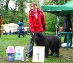 Превью фото № 76744